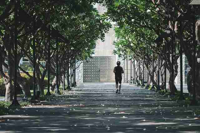 榴莲社区app趋势前瞻：云同步必读（399 ）